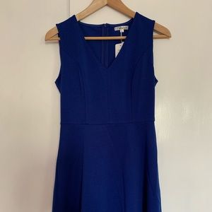 NWT blue skater dress